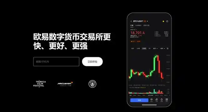 ok交易所官方网站入口页面展示